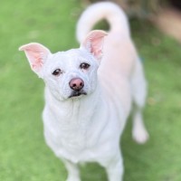 Photo of Missy