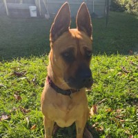 Photo of Narla