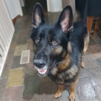 Photo of Mack