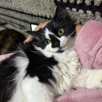 Photo of 🖤 Suki 🖤