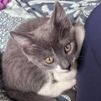 Photo of Theo