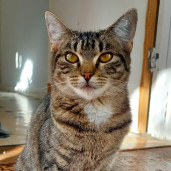 Photo of Sully 🌹🌹🌹