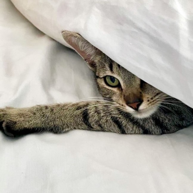 Photo of ❤️ Sarah ❤️`