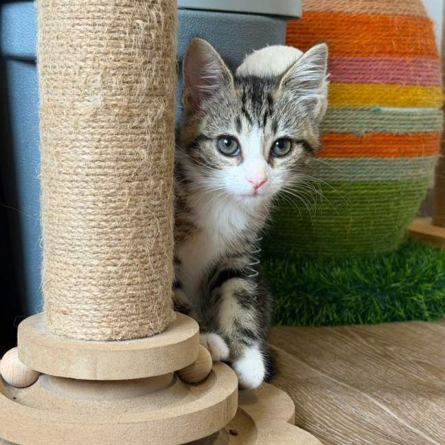 Photo of 🩷Juliet 🩷