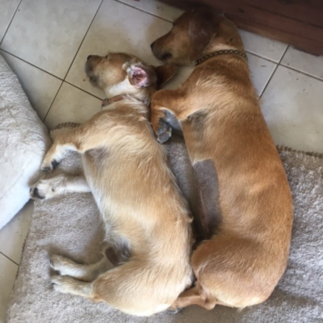 Photo of Hannah And Edward