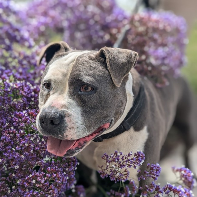 Photo of 🥊 Floyd 5607 🥊