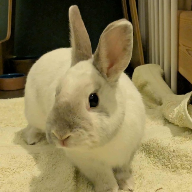 Photo of Harlan 🩷