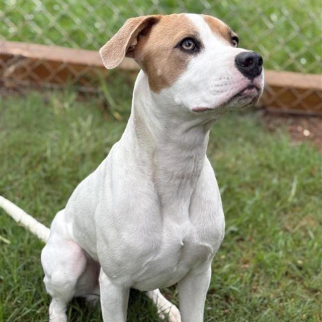 Photo of Patch 