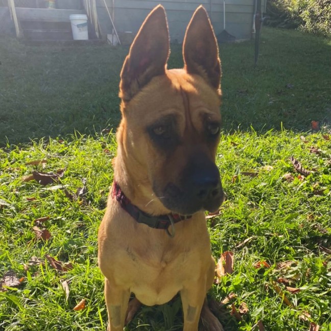 Photo of Narla