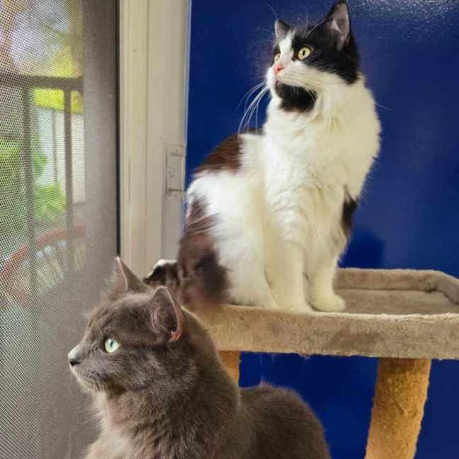 Photo of 🩵Todo & 🩷Georgia