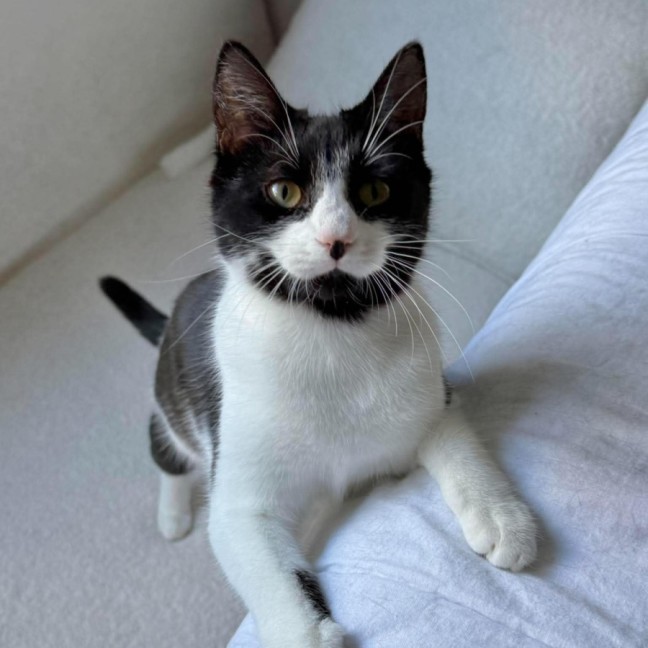 Photo of Dottie