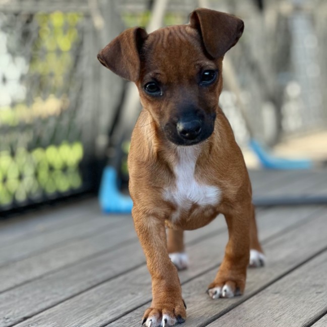 Photo of Mimi