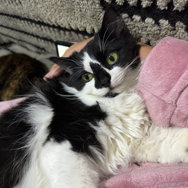 Photo of 🖤 Suki 🖤