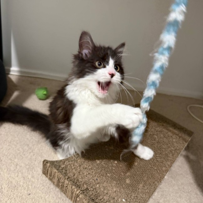 Photo of Milly 🌷🌷