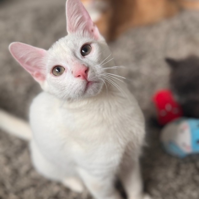 Photo of Eenie