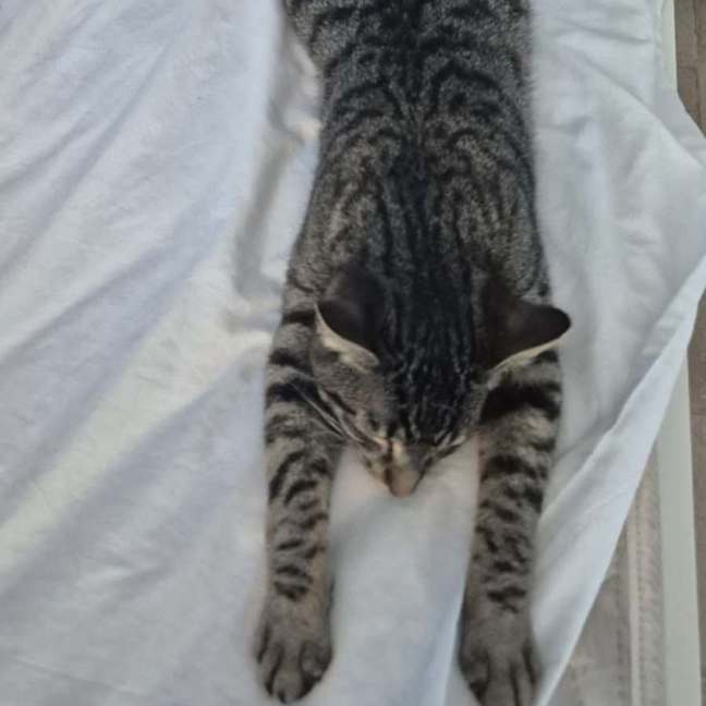 Photo of Boondy