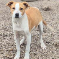 Photo of Jemima