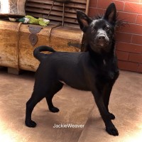 Photo of Jacky Weaver