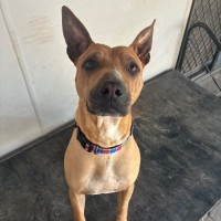 Photo of Zeus 