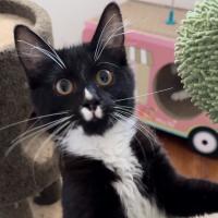 Photo of Charlotte & Benson