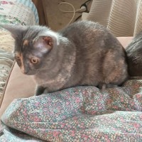 Photo of Spice 