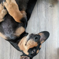 Photo of Bill And Ted