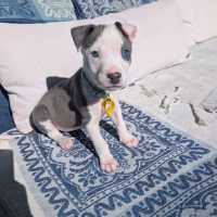 Photo of Leroy