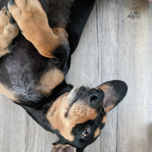 Photo of Bill And Ted