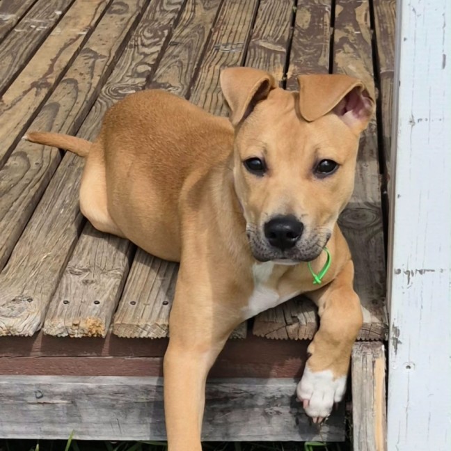 Photo of Matilda