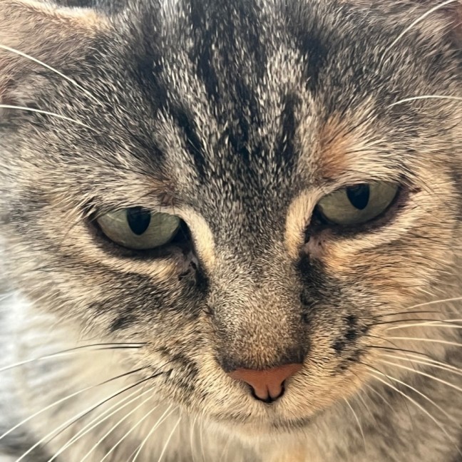 Photo of Calypso 