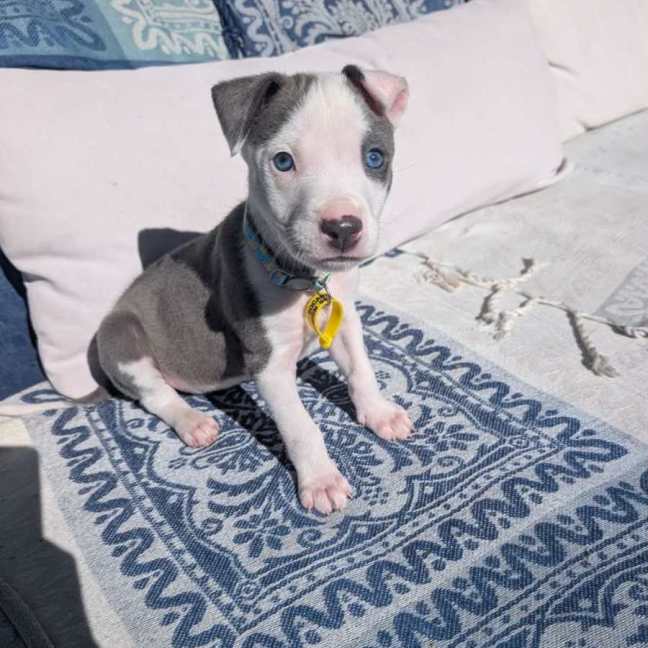 Photo of Leroy