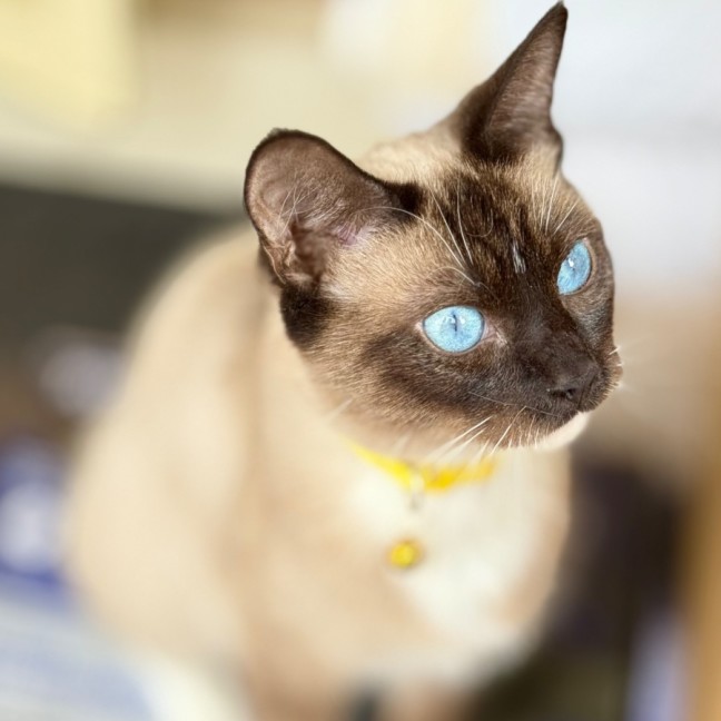 Photo of Celine