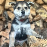 Photo of Luciano
