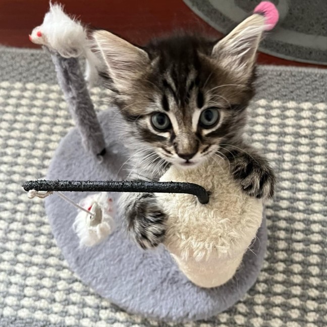 Photo of ❄ Aspen ❄