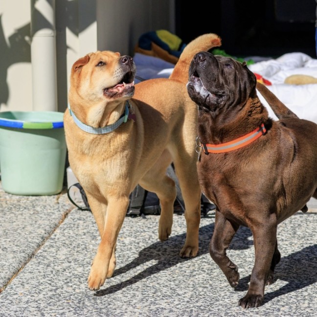 Photo of Molly & Sid