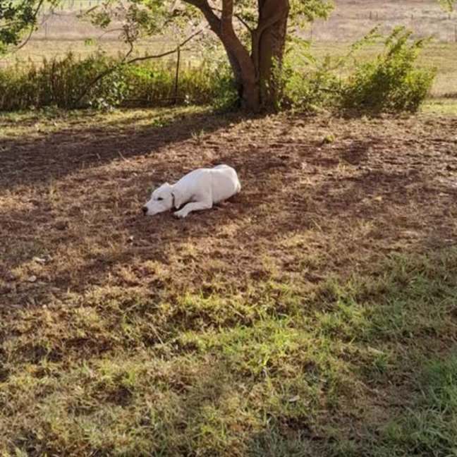 Photo of Minty