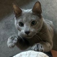 Photo of Nikolai 😻🧵🧶