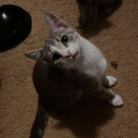 Photo of Georgie