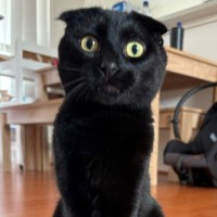 Photo of C1421 Marlow