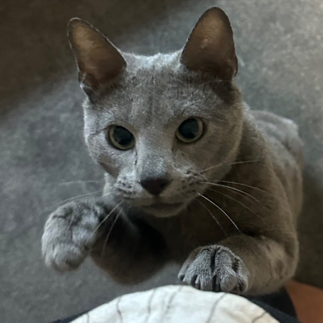 Photo of Nikolai 😻🧵🧶