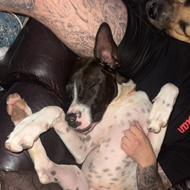 Photo of Bottletop Bill