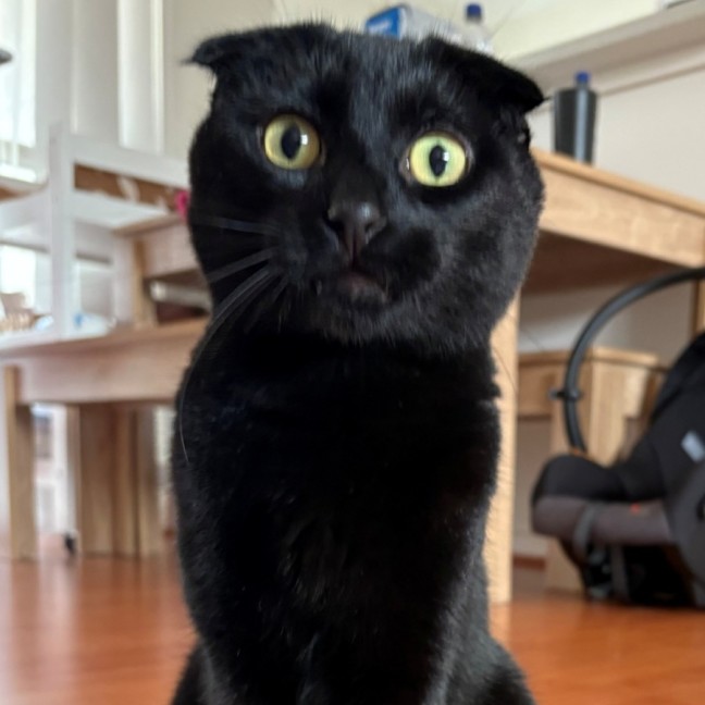 Photo of C1421 Marlow