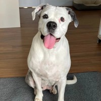 Photo of Missy