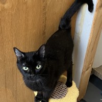 Photo of Sparkle