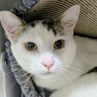 Photo of 🎪 George 6613 🎪