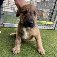 Photo of D1135 Jarred