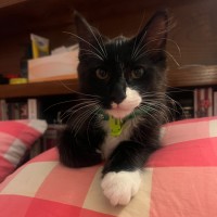 Photo of Dennis & Dot 