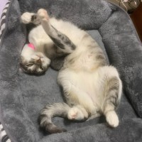 Photo of Ellie