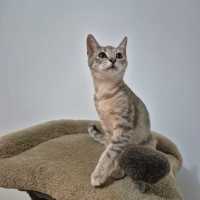 Photo of Audrey 🌹🌹🌹