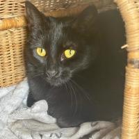 Photo of 🐭 Amara 🐭